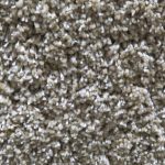 Wall-to-Wall Carpet
